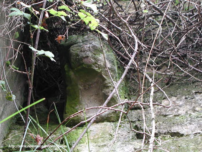 CANECILLA DEL LADO IZQUIERDO